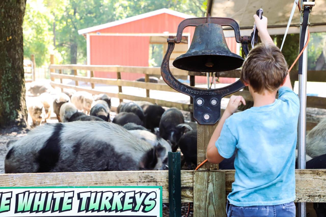 Rooterville Animal Sanctuary Melrose Exteriér fotografie