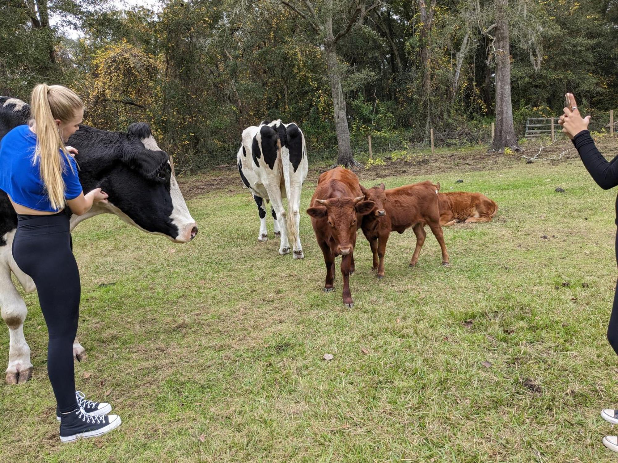 Rooterville Animal Sanctuary Melrose Exteriér fotografie
